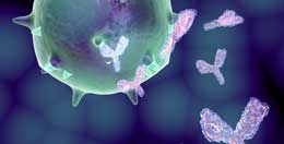 Hüceyrədəki kompleks quruluş və sistemlər