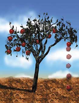 Cazibə qüvvəsinin həssas ölçüsü