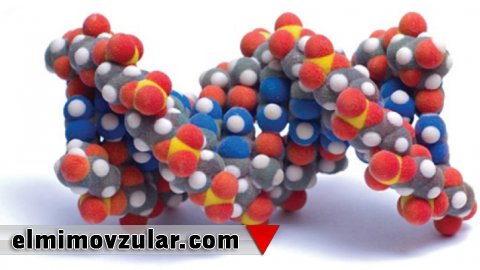 Allah molekulların hərəkətini bizim hiss etməyəcəyimiz şəkildə yaratmışdır