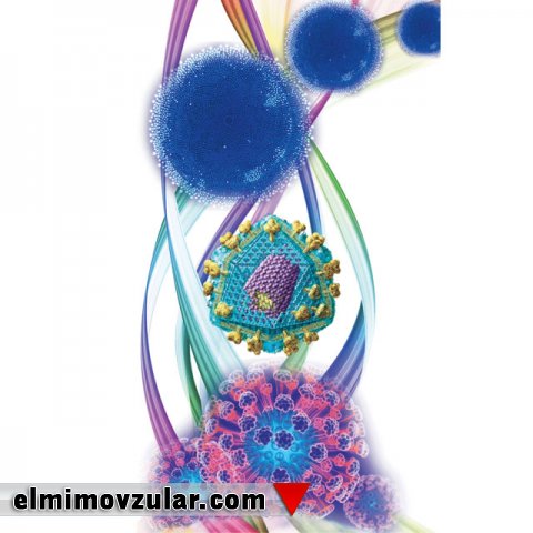 Allahın mikro dünyada yaratdığı sənət 