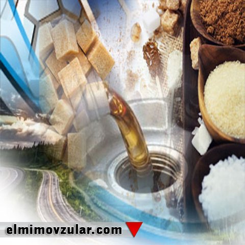 Benzin istehsal edən bakteriyalar