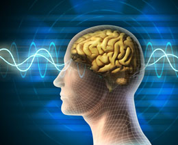 Beyindəki genlər daim dəyişir