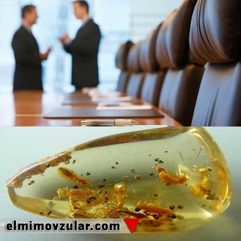 Bəzi müsəlmanlar nə üçün təkamül nəzəriyyəsini müdafiə edirlər?