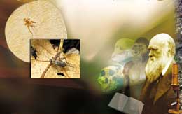 Elm tarixinin ən böyük saxtakarlığı: Təkamül nəzəriyyəsi