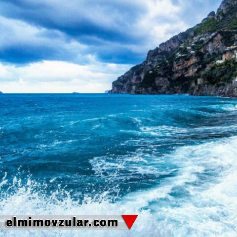 Dənizlərdə Heyrətamiz Müxtəliflik