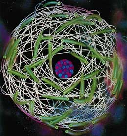 Proton və elektron arasındakı möhtəşəm uyğunluq. Elektrik yüklərindəki uyğunluq