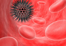 Eritrositlərin hasil edilməsinə nəzarət edən hormon: Eritropoetin