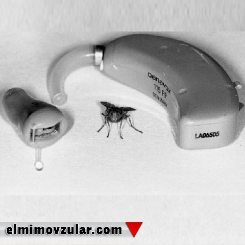 Eşitmə cihazlarında yeni inkişaf: milçək qulağı