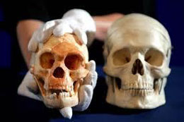 Flores adamı ilə bağlı yeniliklər