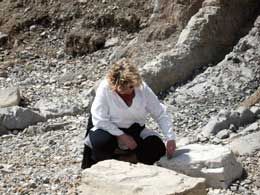 "İnsanın əcdadı meymundur" yalanı necə üzə çıxdı?