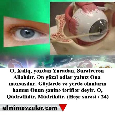 Gözdəki texnologiya