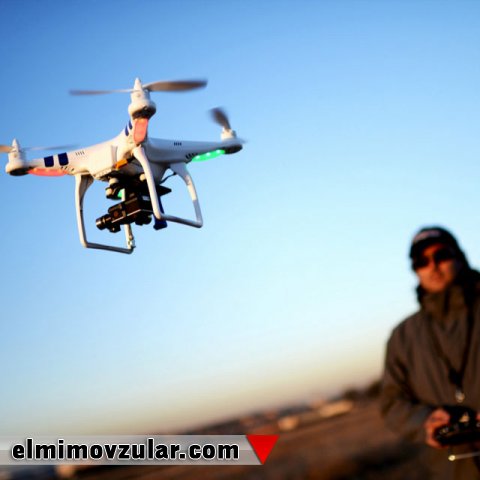 Hansı canlılar dronlara ilham mənbəyi olur?