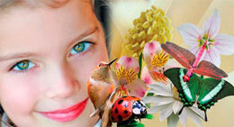 Həyatın əsl mənşəyi: Bütün canlıları Allah yaratmışdır