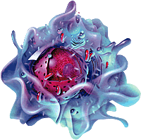 Hüceyrədəki Şüur