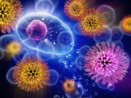 Həyatın mənşəyini açıqlayan “ilk hüceyrə”