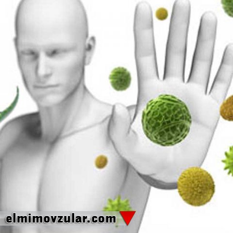 İmmunitet sistemi təkamül nəticəsində meydana gələ bilməz