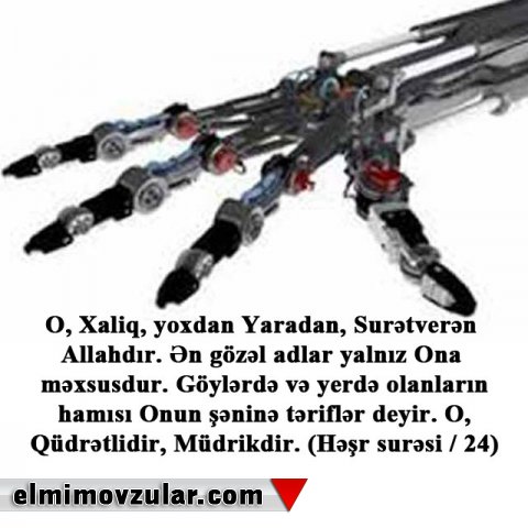 İtalyan və alman elm adamları barmaqları müstəqil hərəkət edən ilk robot əl düzəldiblər İtalyan və alman elm adamları barmaqları müstəqil hərəkət edən ilk robot əl düzəldiblər