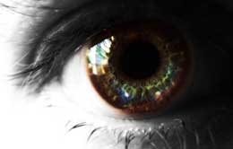 Qaranlığa və rəngsizliyə bürünən həqiqi dünya