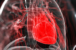 Bütün həyatımız boyu fasiləsiz işləyən ən böyük nasos: ürək