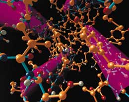 Canlıların yaradılışındakı möcüzələr. Ən ibtidai canlı belə, təsadüfən əmələ gələ bilməz