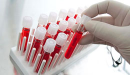 Qanın bədənimizdəki həyati funksiyası