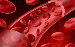 Qandakı mayenin nisbətini tənzimləyən nəzarətçilər