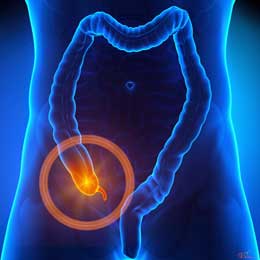 Rudiment orqanlar xətası
