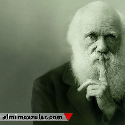 “Təkamülü inkar etmək elmi inkar etməkdir” yalanı