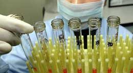 Toxumaların daxilini görən texnologiya icad edilib