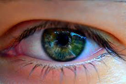 Yaradılış və göz